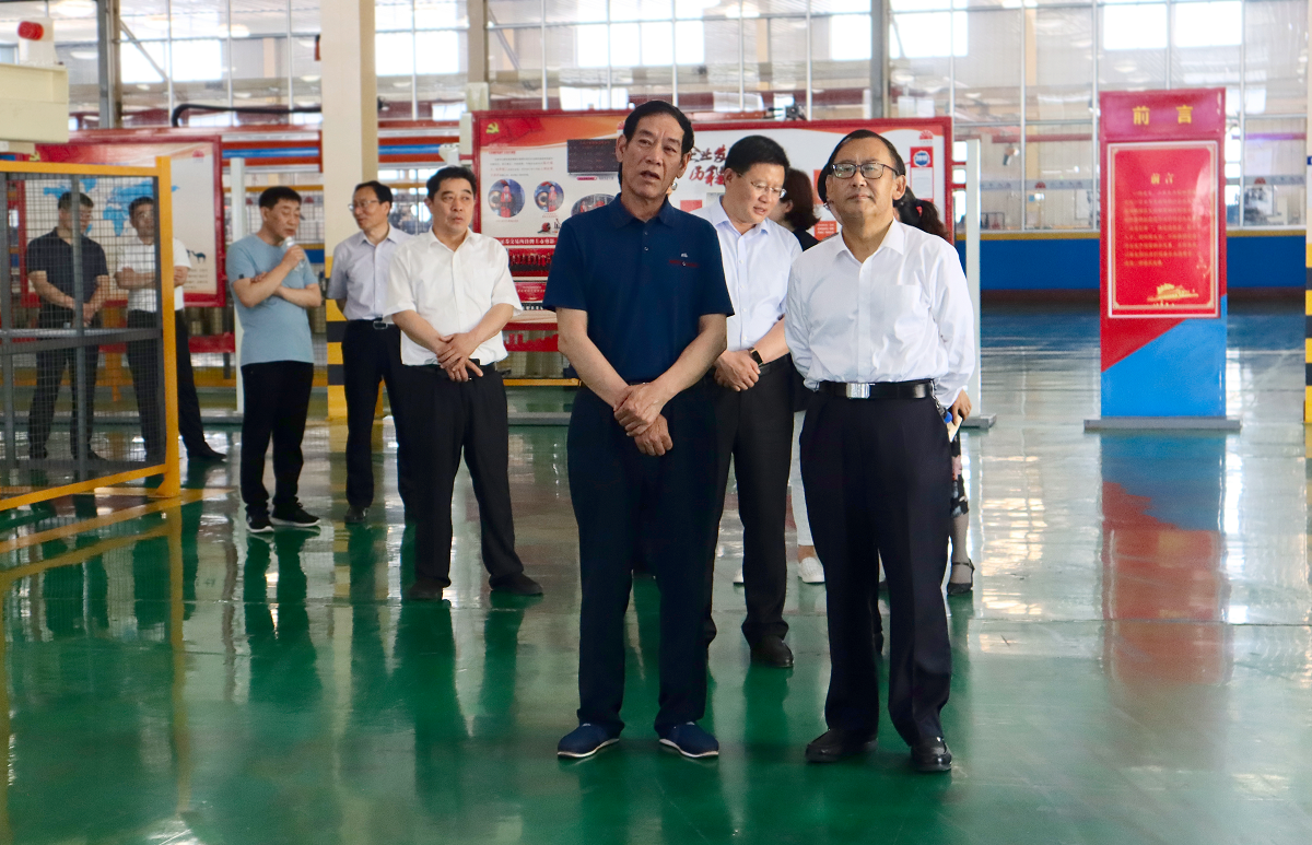 Member of the government party group Chen Ruxiao visited the factory