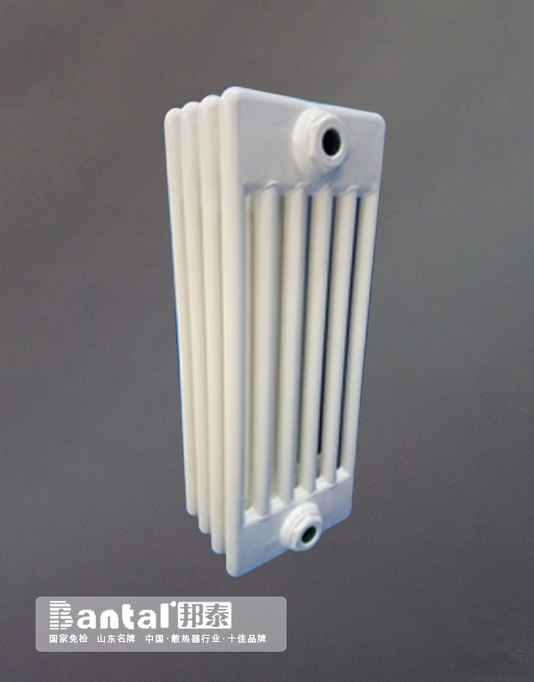 GGZ6-A low carbon steel series radiator