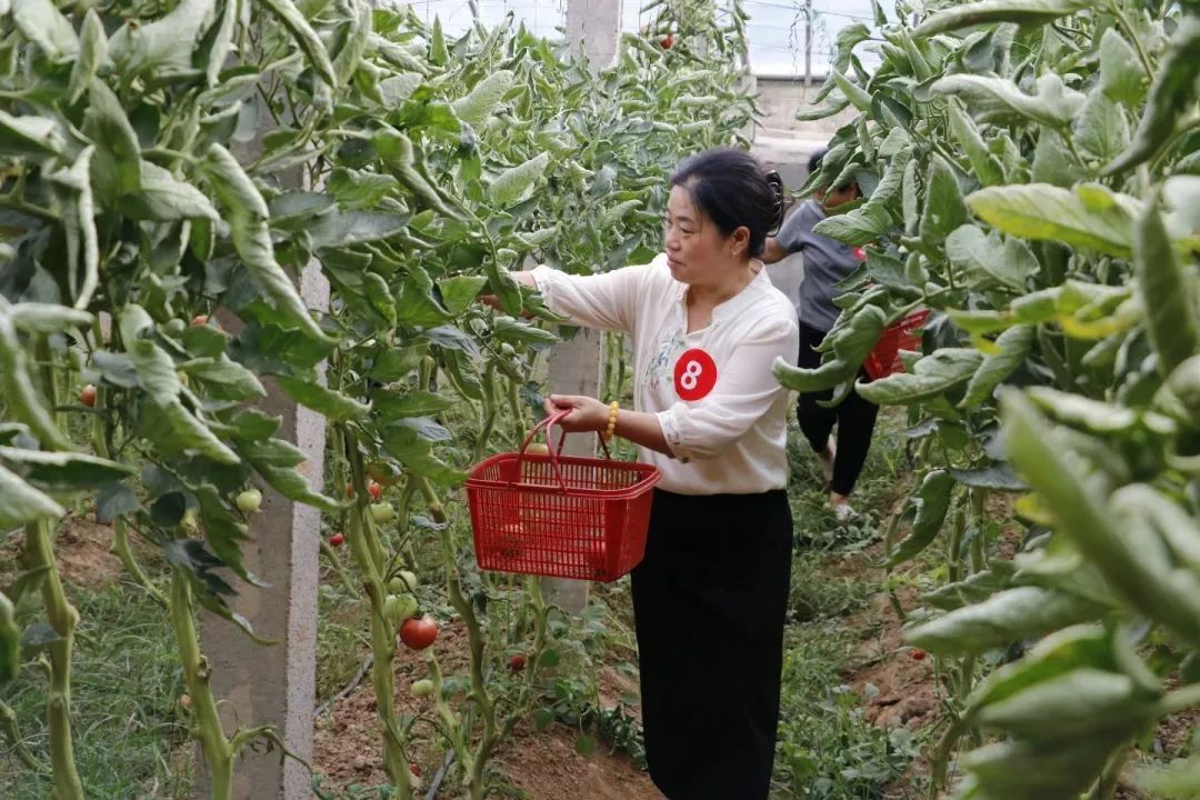 微信图片_20250707110424.jpg