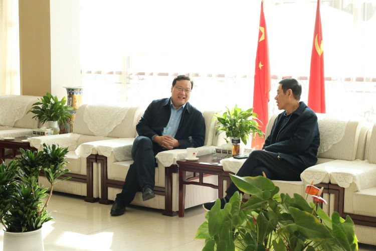 Wang Qihua, Deputy Secretary of the Municipal Party Committee, visited Daye Corporation to conduct research on project construction