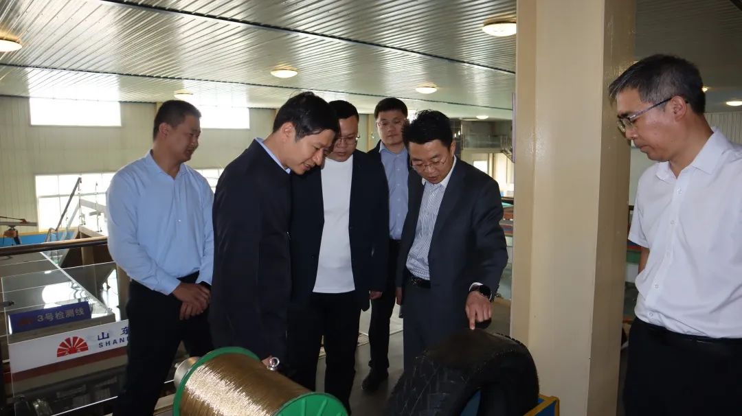 Changsha Meng, Deputy County of Yongning County, Yinchuan City, and his delegation visited Daye Group for inspection and research