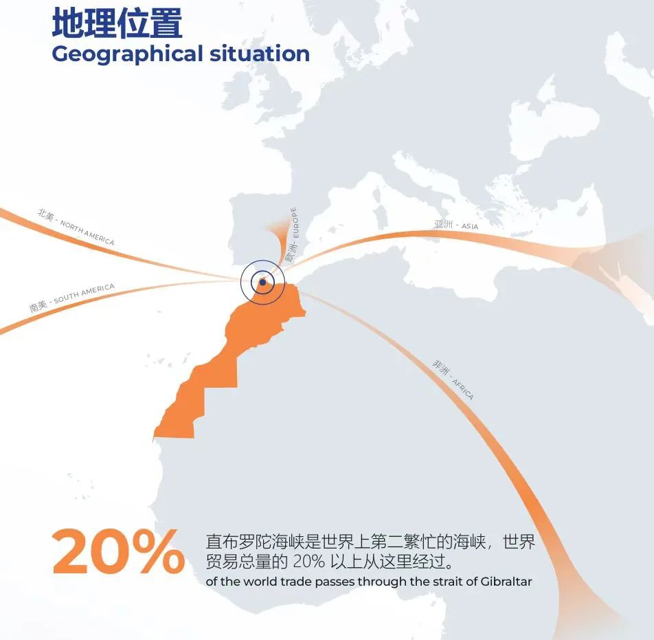 大業モロッコ工場投資案、株主総会で審議